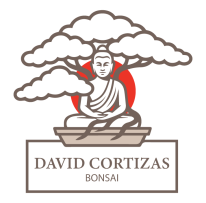 David Cortizas