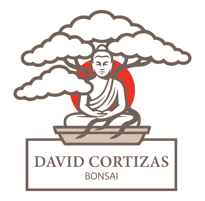 Logotipo David Cortizas Bonsai