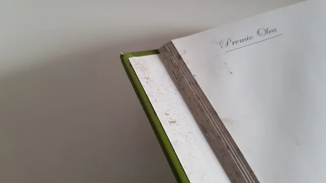 Libro de Bonsai "Premio Olea" 2005 - Imagen 5