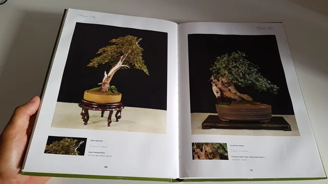 Libro de Bonsai "Premio Olea" 2005 - Imagen 3