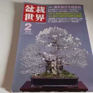 Revista Bonsai World 2 año 2012