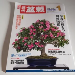 Revista Bonsai KINBON 1 enero 2020
