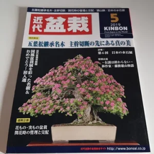 Revista Bonsai 2019 KINBON 5