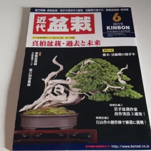 Revista Bonsai 2019 KINBON 6