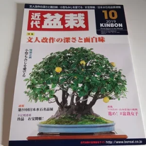 Revista Bonsai 2019 KINBON 10