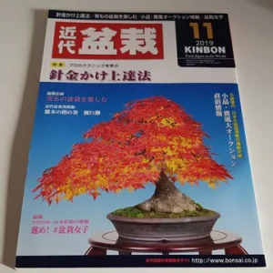 Revista Bonsai 2019 KINBON 11