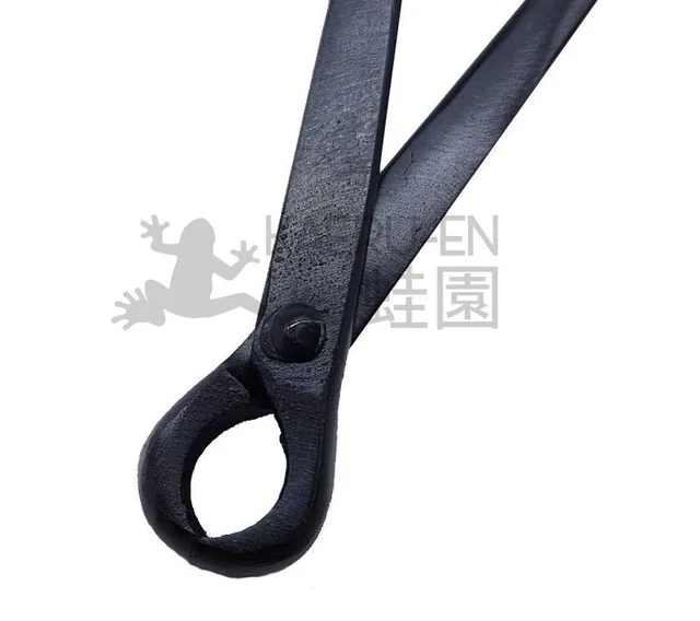 Vaciadora cóncava 170 mm para bonsai - Imagen 2