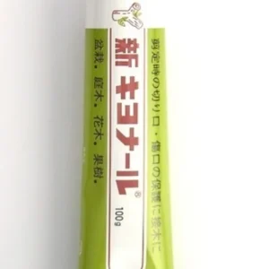 Cicatrizante Shin-Kiyonal 100 g