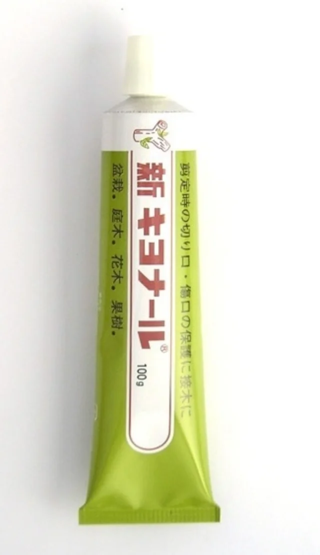 Cicatrizante Shin-Kiyonal 100 g