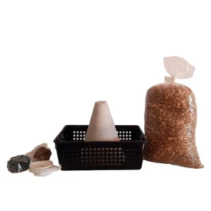 Kit NEAGARI URBANO Bonsai Zero