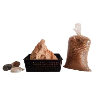 Kit ISHITSUKI URBANO Bonsai Zero