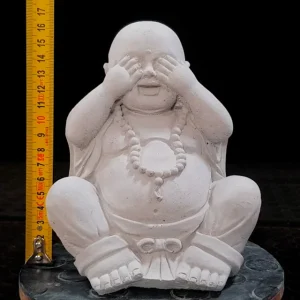 Buda Sabio “MIE” – No ver el mal