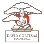David Cortizas